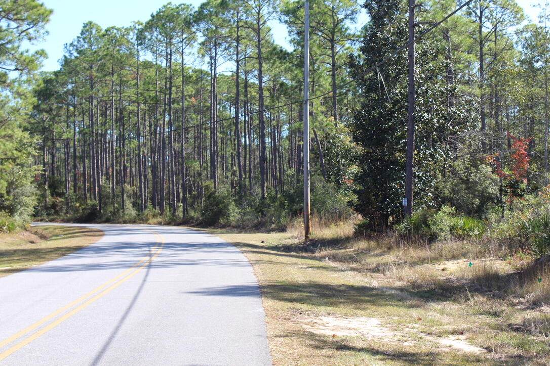 15&16 Mallet Bayou Drive - Photo 1