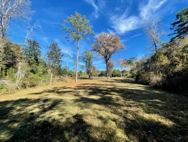 TBD Knox Hill Road - Photo 1