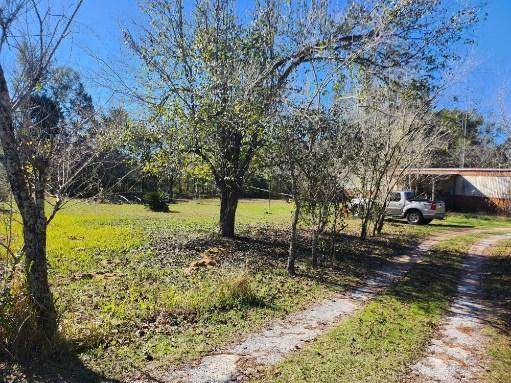 2989 Kings Lake Road - Photo 1