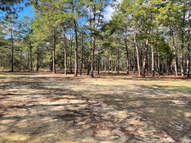 251 O' Sage Drive - Photo 1