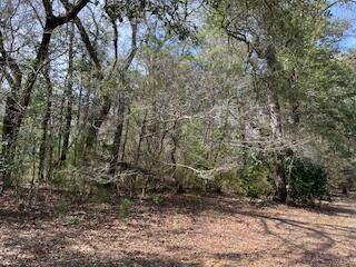 Lot 25,26 Choctawhatchee River Road - Photo 1