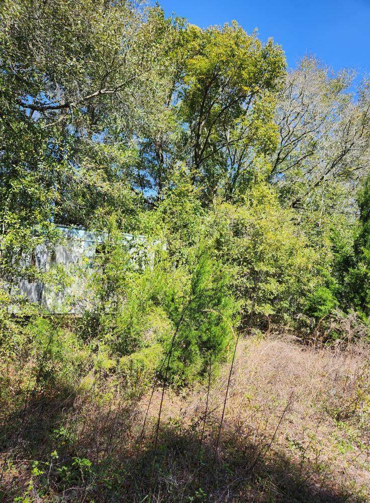 606 Davis Lane - Photo 1