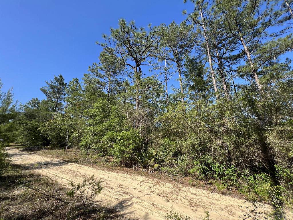 0 Clearwater Drive - Photo 1