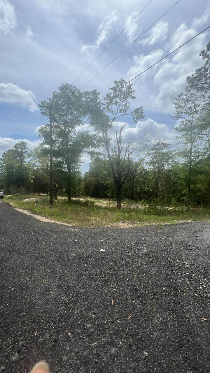 1.94 acres Lakewood Dr - Photo 1