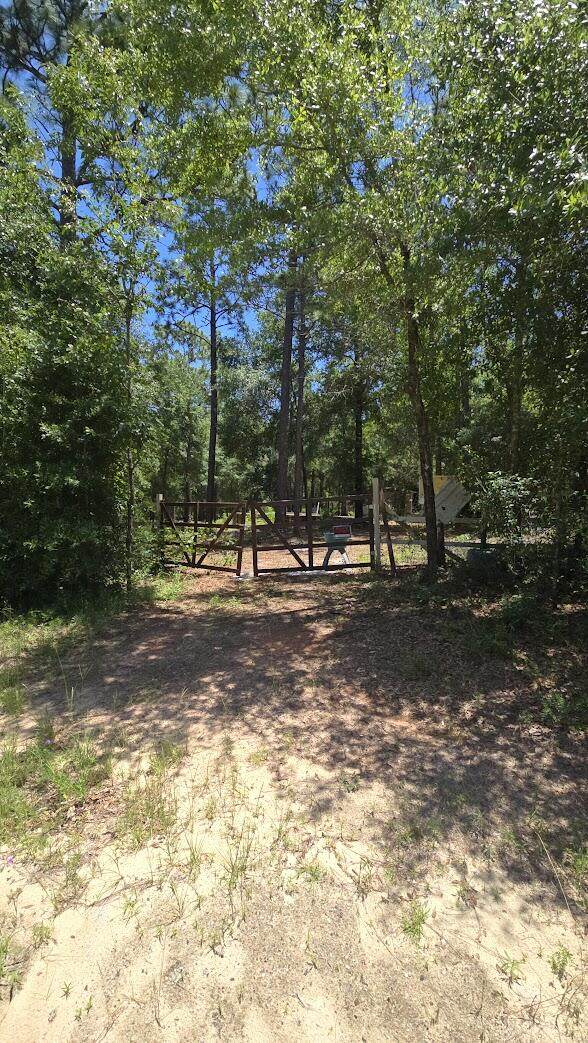 6045 Sand Hill Road - Photo 1