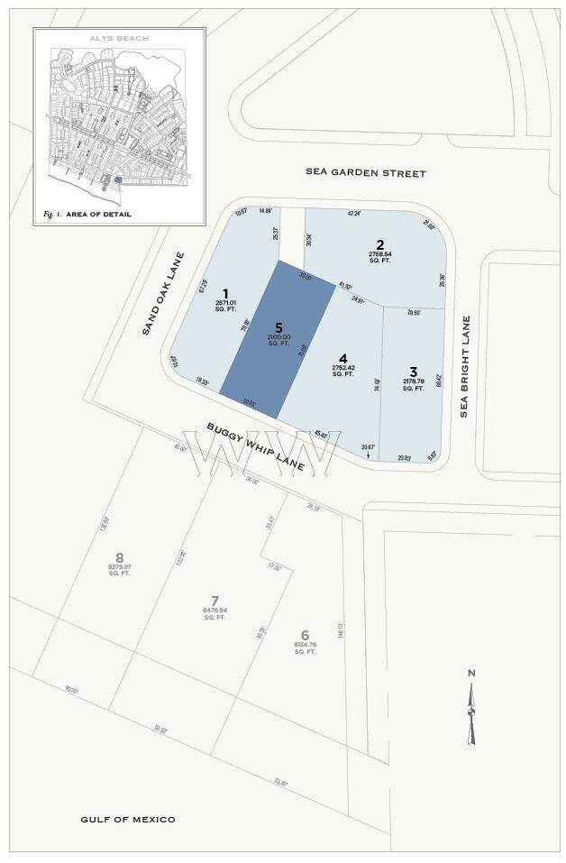 TBD Buggy Whip Lane - Photo 1