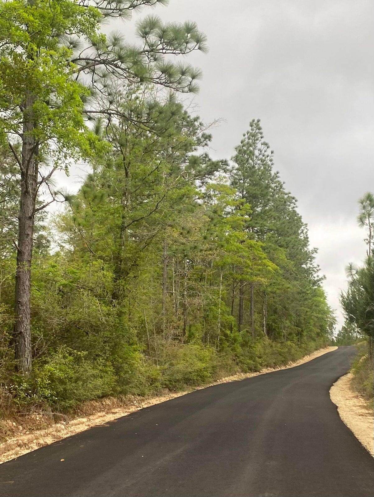 16 acres Sherman Kennedy Rd - Photo 1