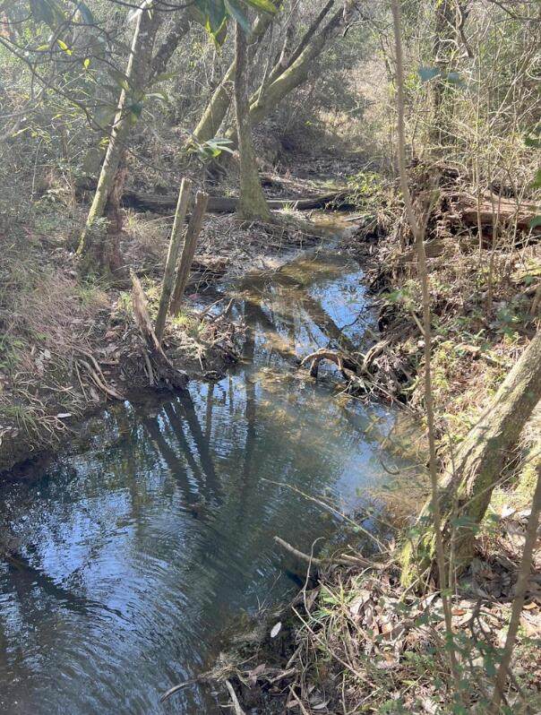 13 Acres Jack Rd - Photo 1