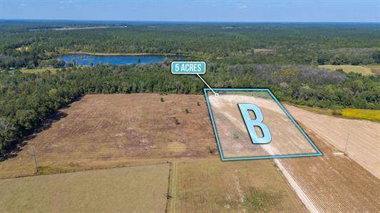 5 Ac - B Mcphail Farm Road - Photo 1