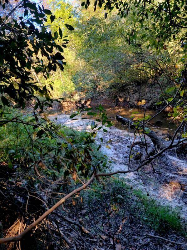 19 acres Walton Bridge Road - Photo 1