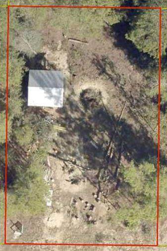 XXX Cornflower Avenue - Photo 1