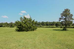 924 Hwy C4a - Photo 1