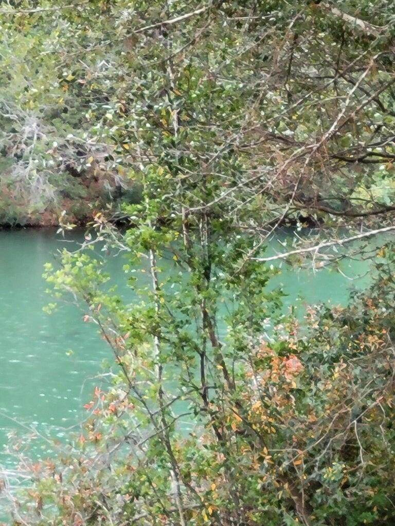 118 Tranquility Drive - Photo 1