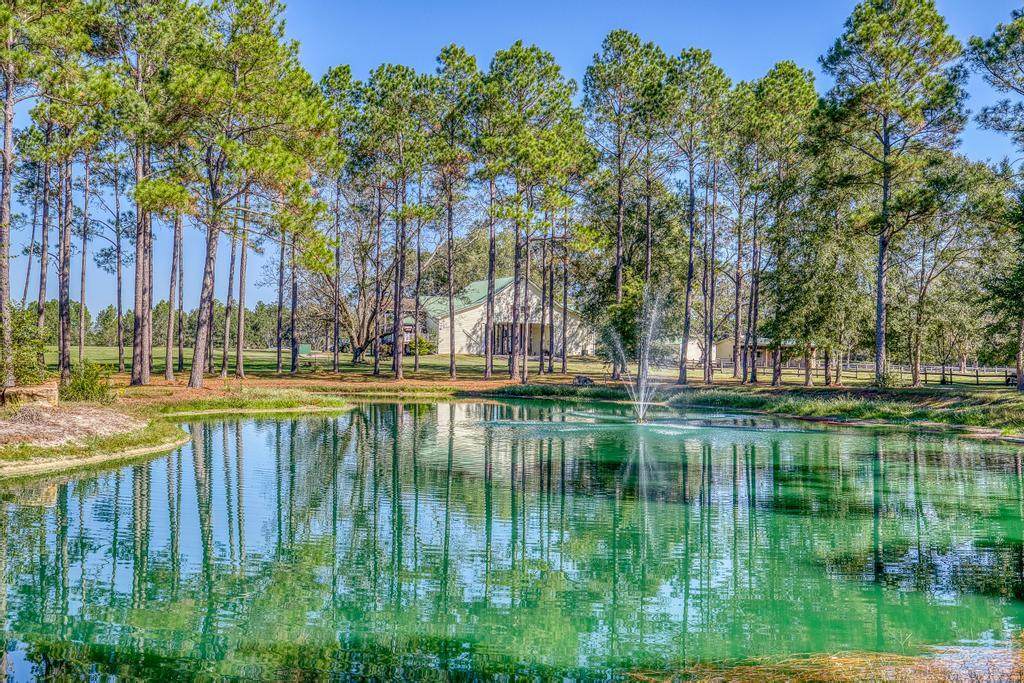 1650 Bear Bay Flats Rd Road - Photo 1