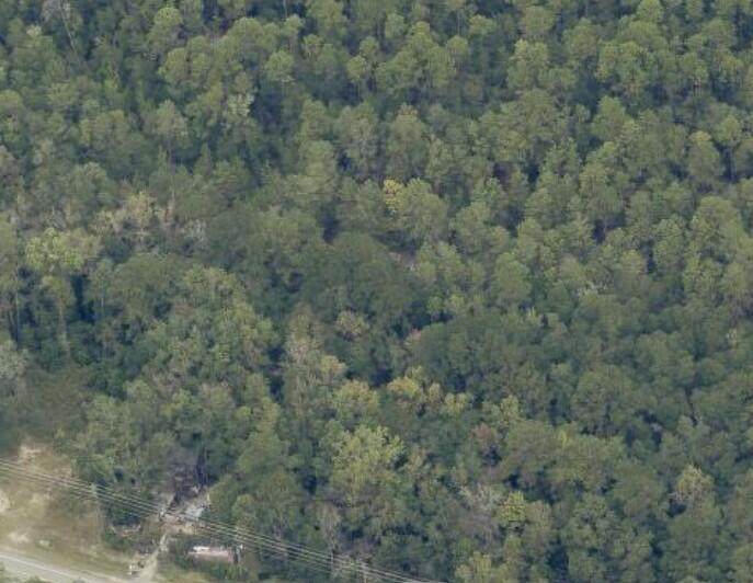 1102 St Hwy 20 W - Photo 1