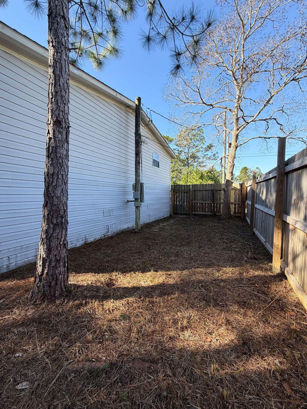 2244 Jeannie Street - Photo 1