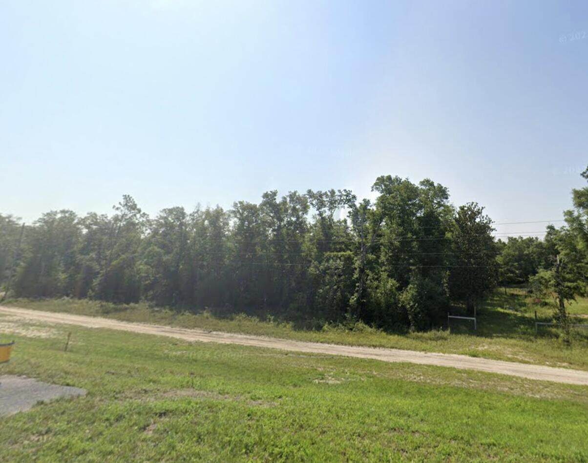 20820 Highway 231 - Photo 1