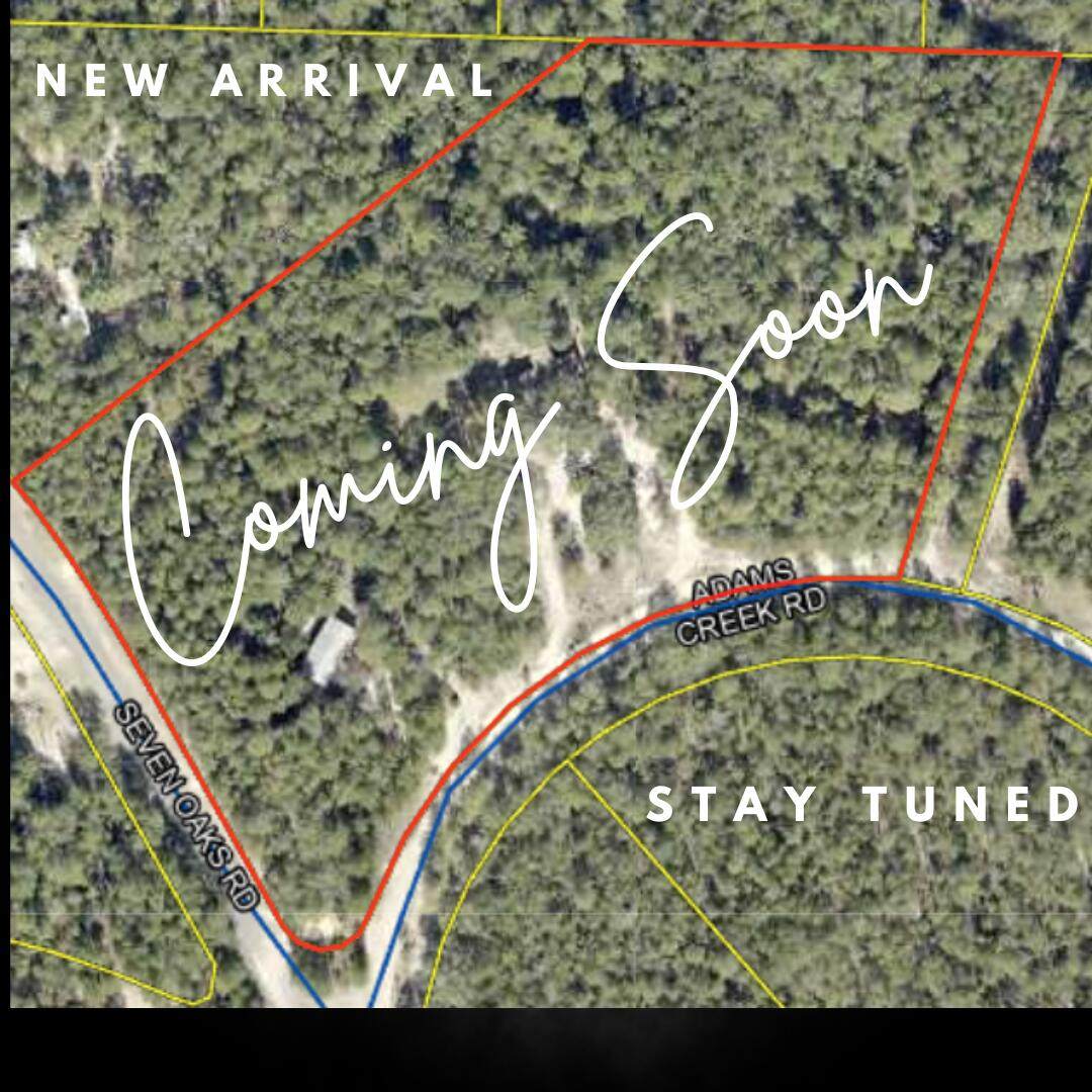 87 Adams Creek Road - Photo 1