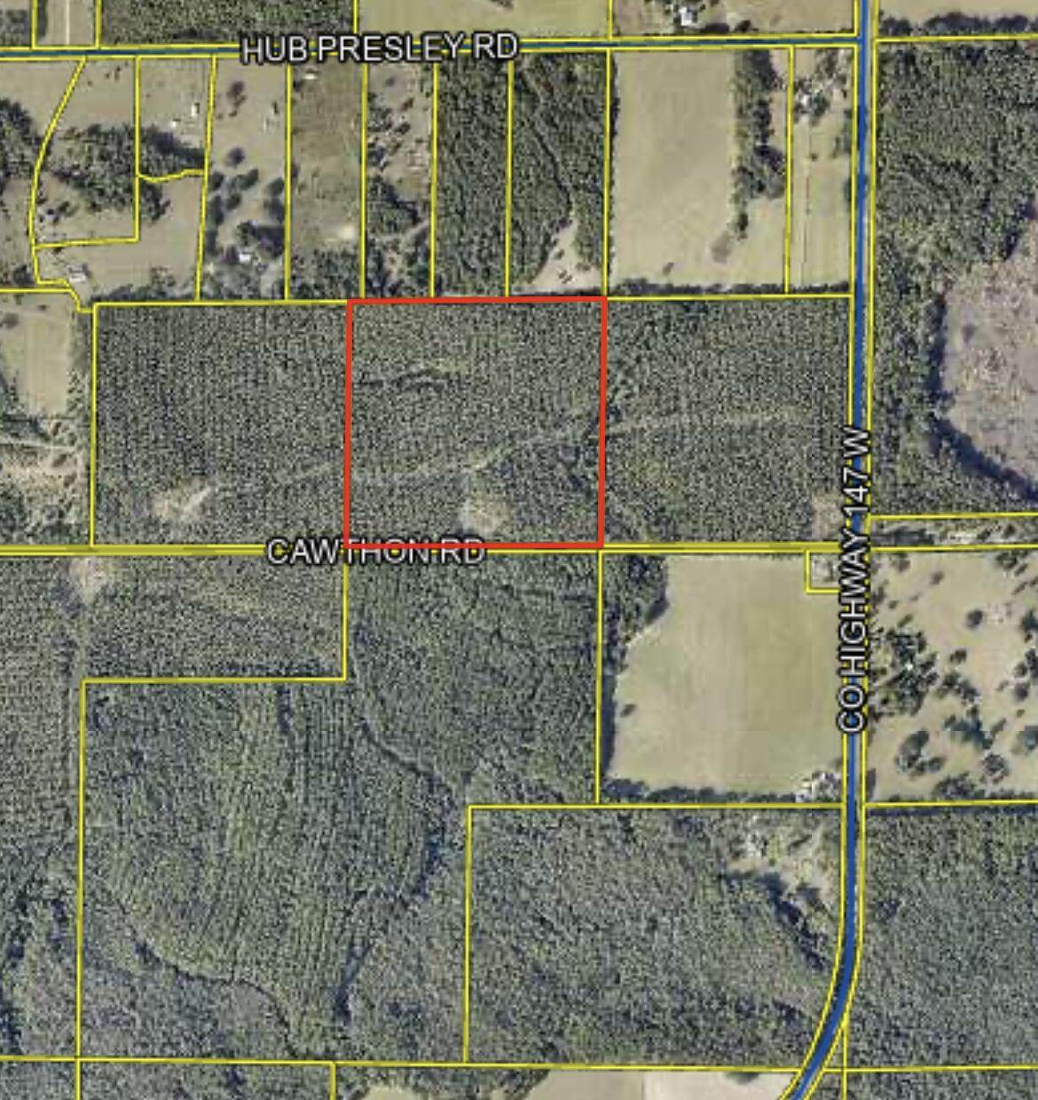 XX Cawthon Road - Photo 1