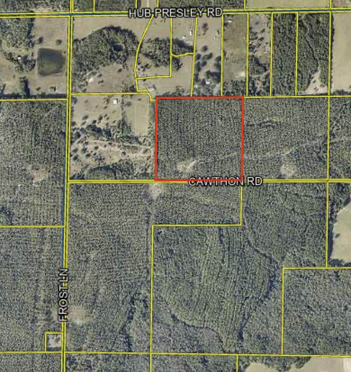 xxx Cawthon Road - Photo 1