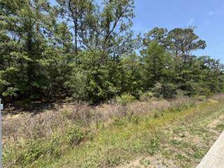 0 Highway 87 - Photo 1