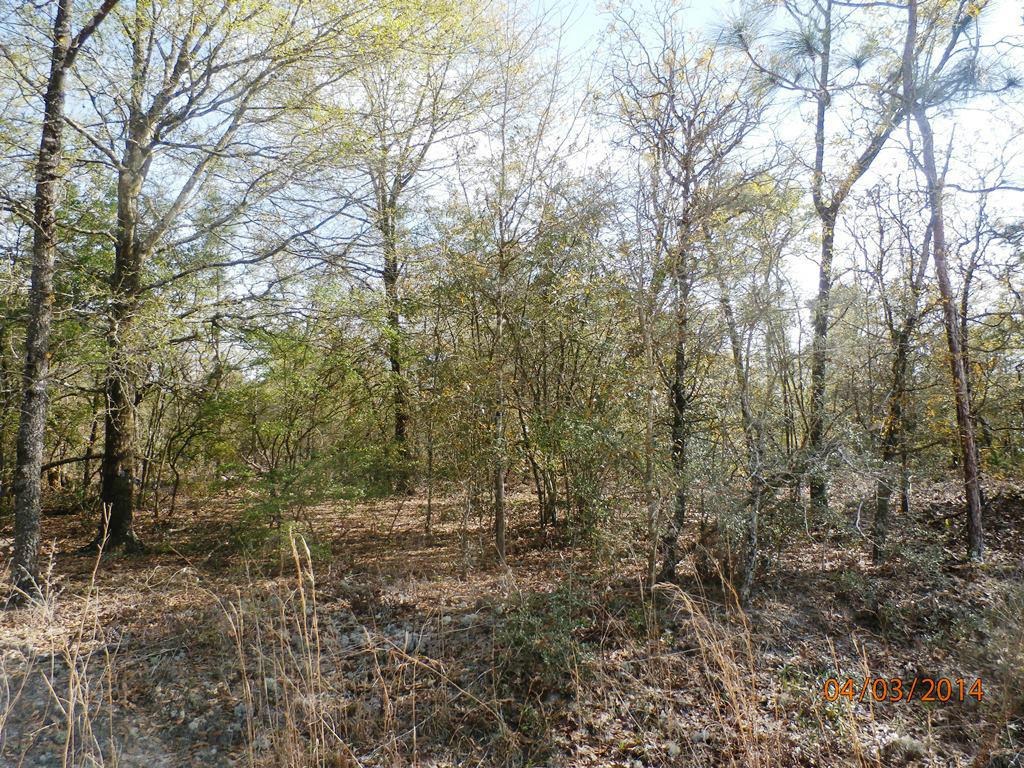 Lot 4D Bach Drive - Photo 1