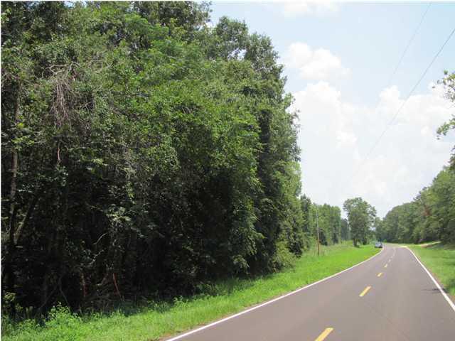 253 AC County Rd 1084 - Photo 1