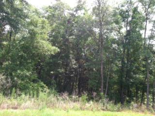 Lot A Hwy 83A - Photo 1