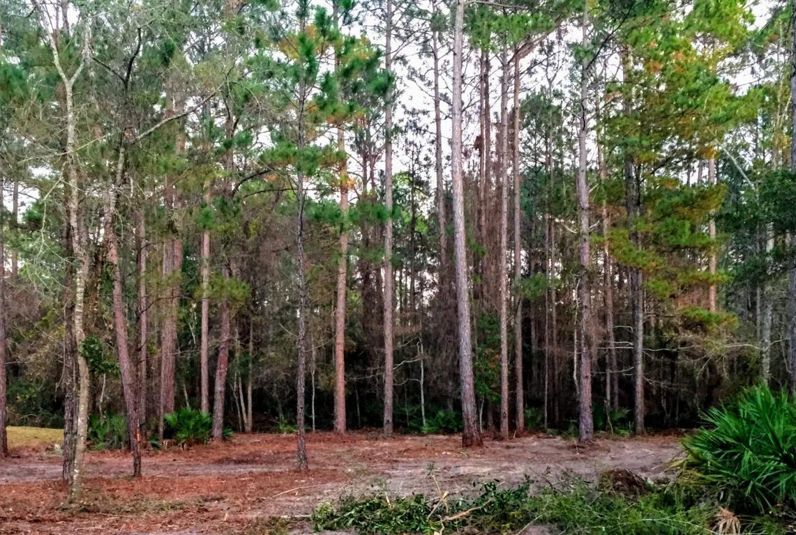 Lot 2 Lagrange Road - Photo 1