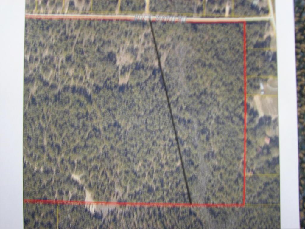 15 Acres Buck Ward Road - Photo 1