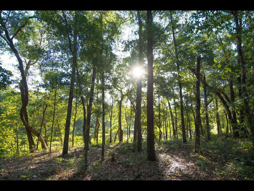 486 Mango Lane - Photo 1