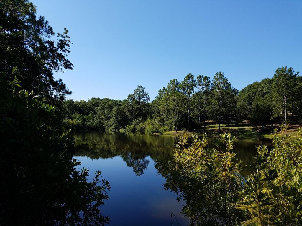 1203 Grandview Drive - Photo 1