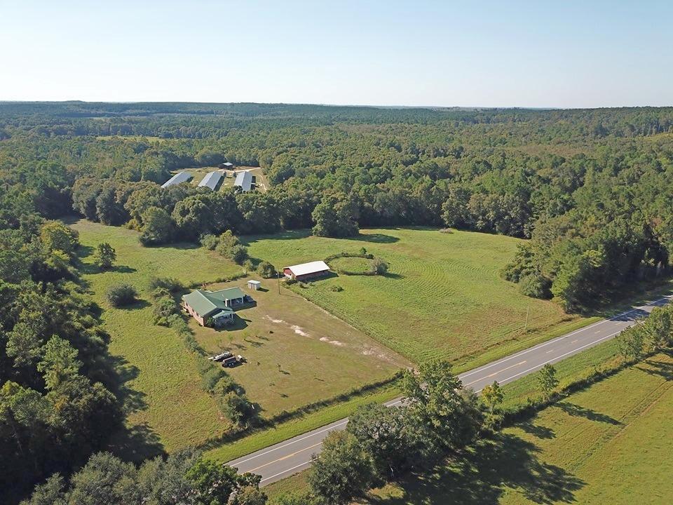 2124 Hwy 81 N - Photo 1