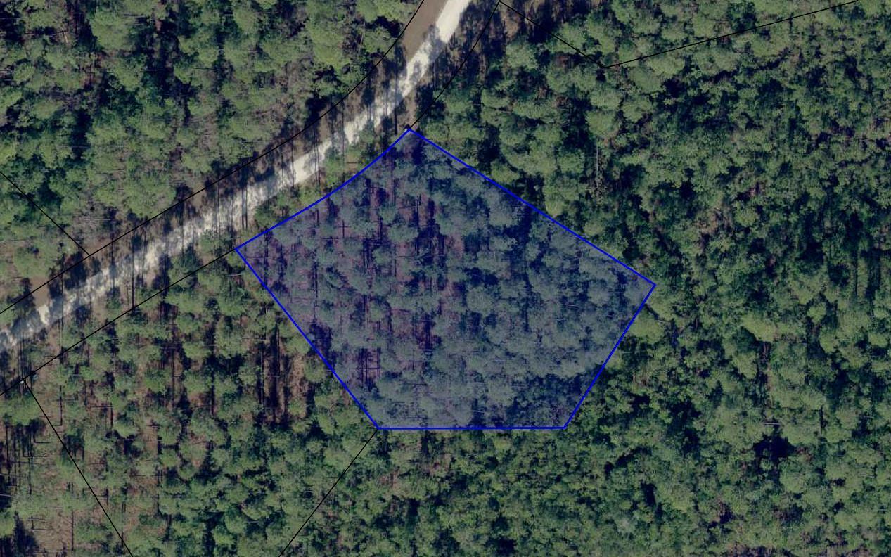6619 Button Buck Trail - Photo 1
