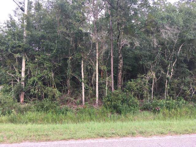 0000 Cornfield Way - Photo 1