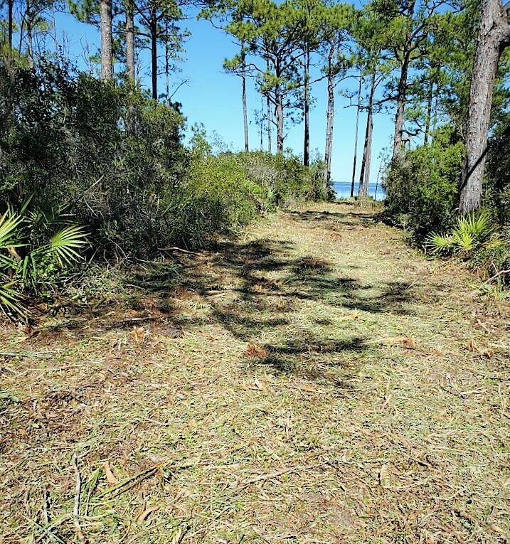 TBD Driftwood Point Road - Photo 1