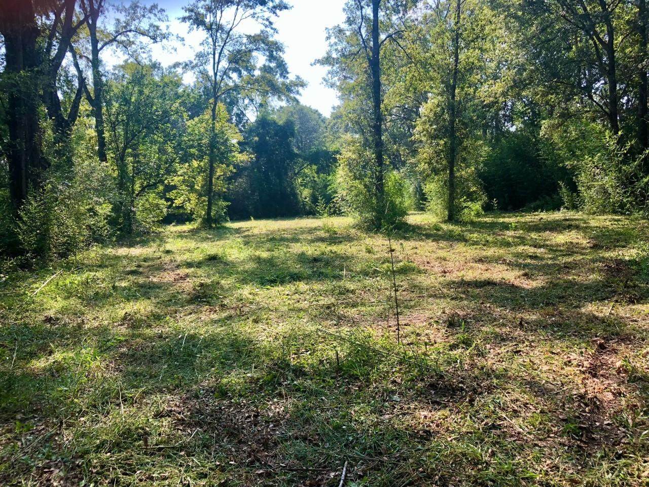 TBD Windmill Rd - Photo 1