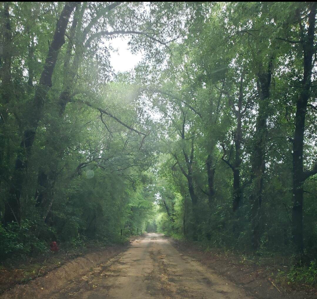 TBD Calvin Carr Rd - Photo 1