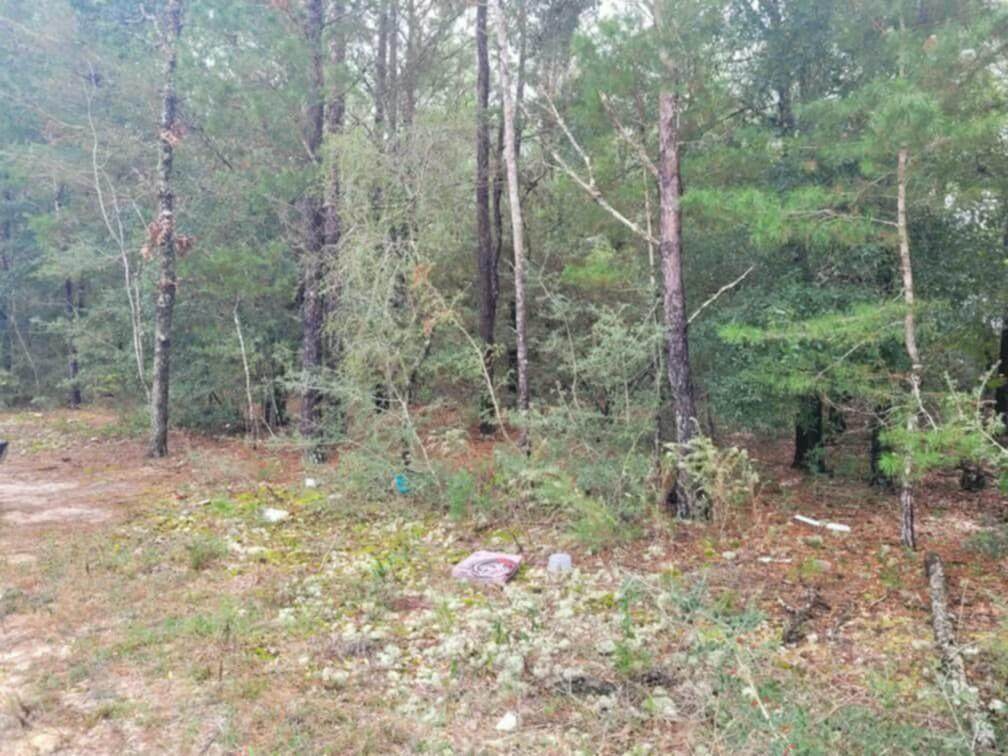 Lot 5 Blk 6 E. Violet Lane - Photo 1