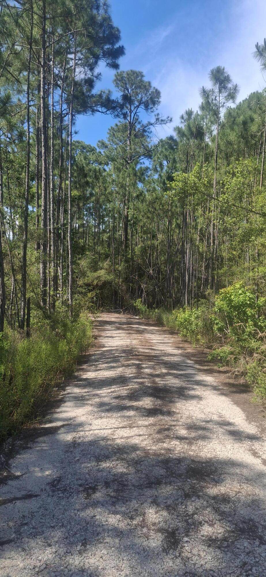 lot 12 Nursery Road - Photo 1