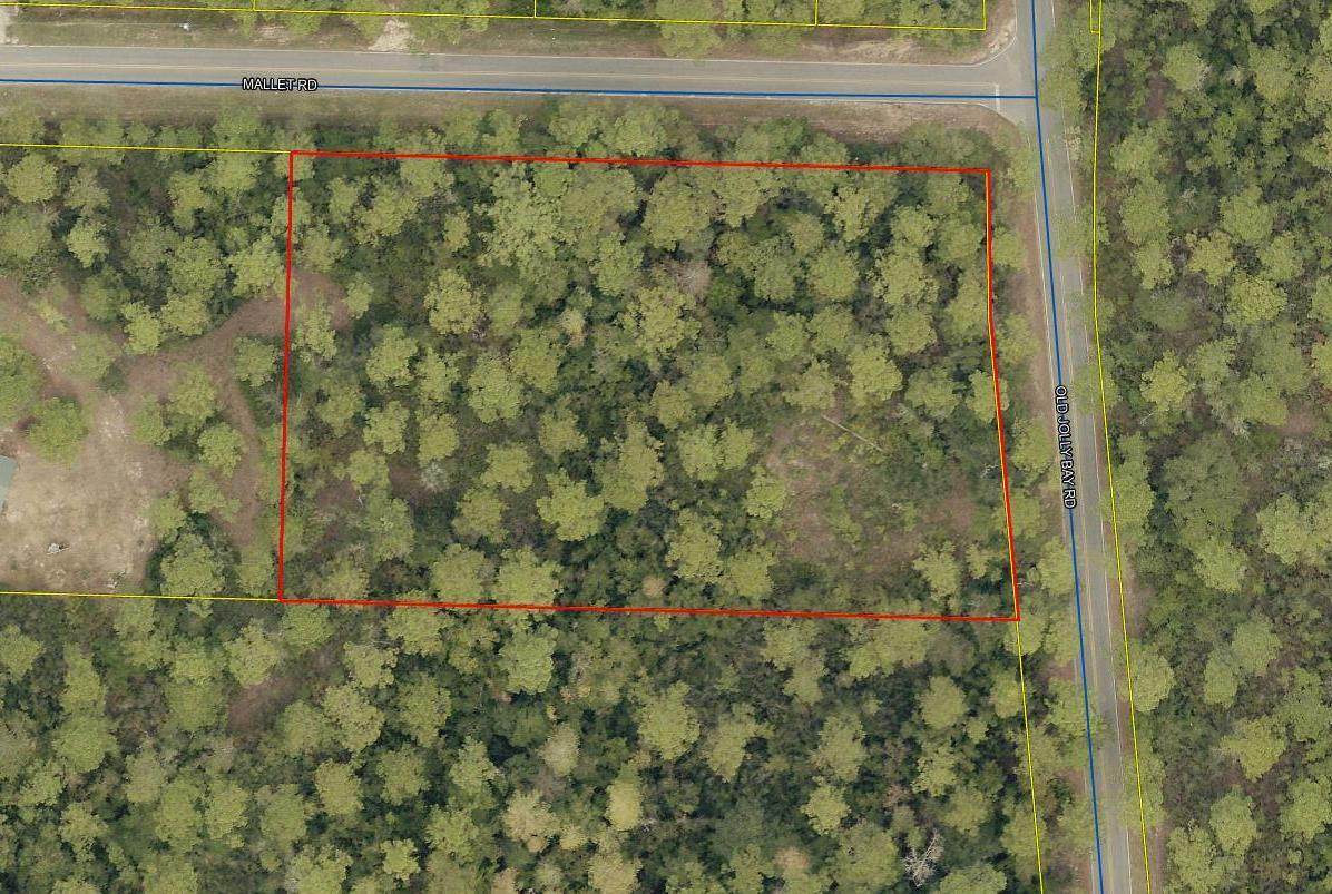 Lots 9-10 Mallet Road - Photo 1
