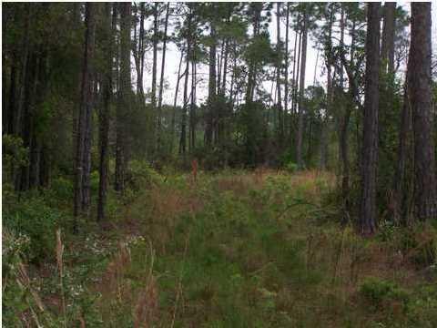 01 Walton Way - Photo 1