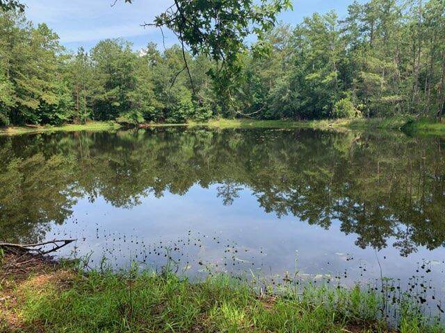 Lot 21 Blue Creek Road - Photo 1