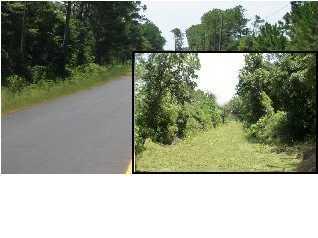 10 Acres Nellie - Photo 1