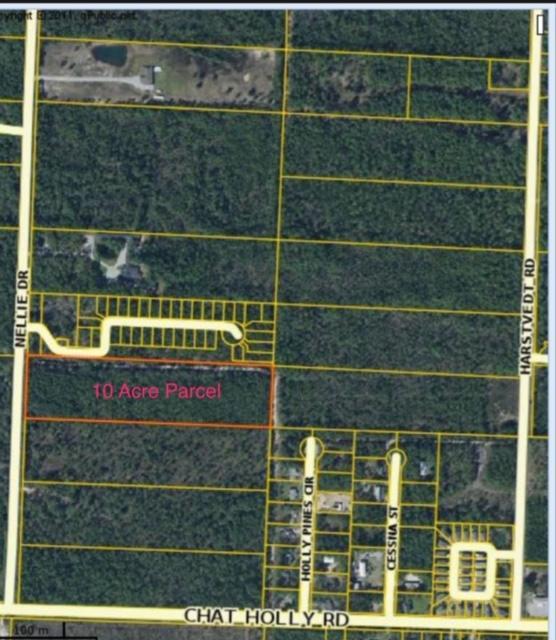 10 ACRES Nellie - Photo 1
