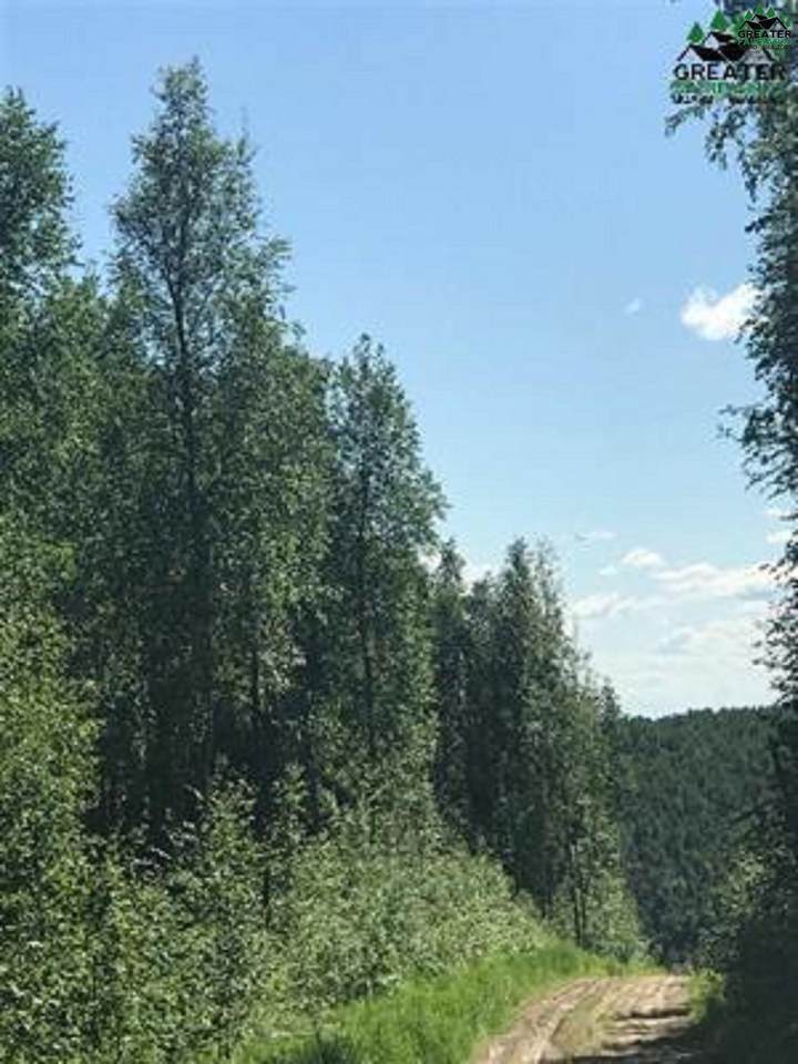 NHN Gunning Drive - Photo 1