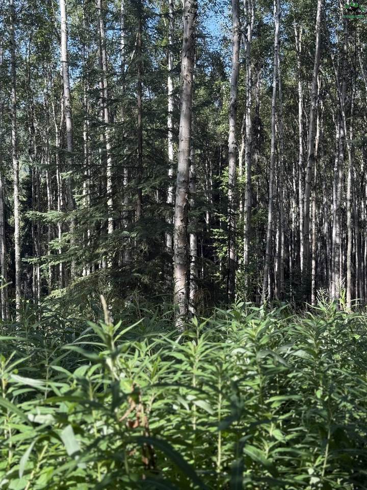 1339 Westwick Drive - Photo 1