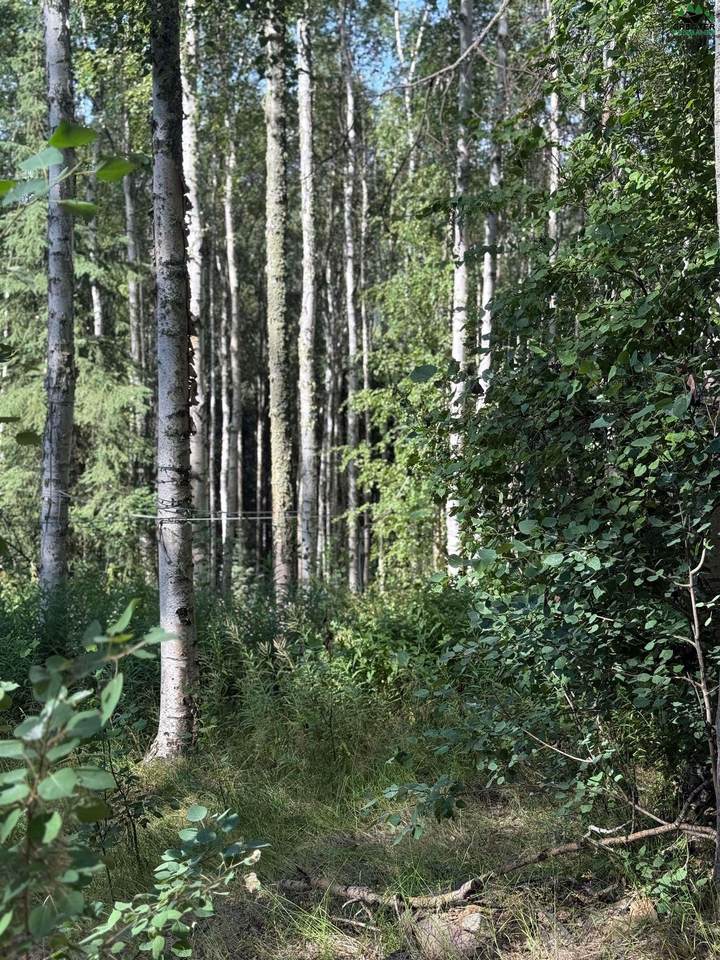 NHN Westwick Drive - Photo 1