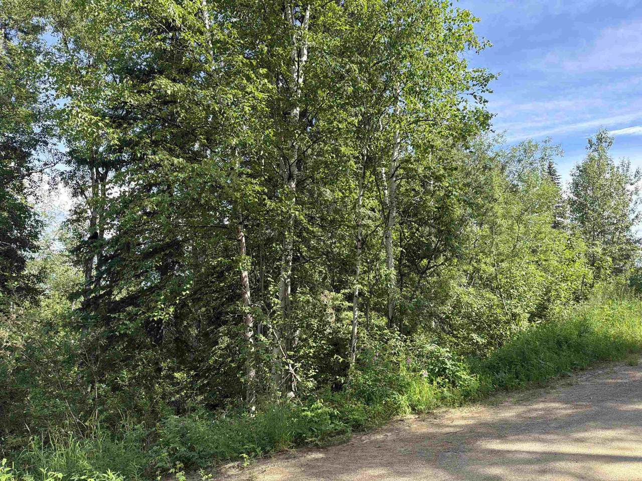 https://bt-photos.global.ssl.fastly.net/fairbanks/orig_boomver_1_159246-2.jpg
