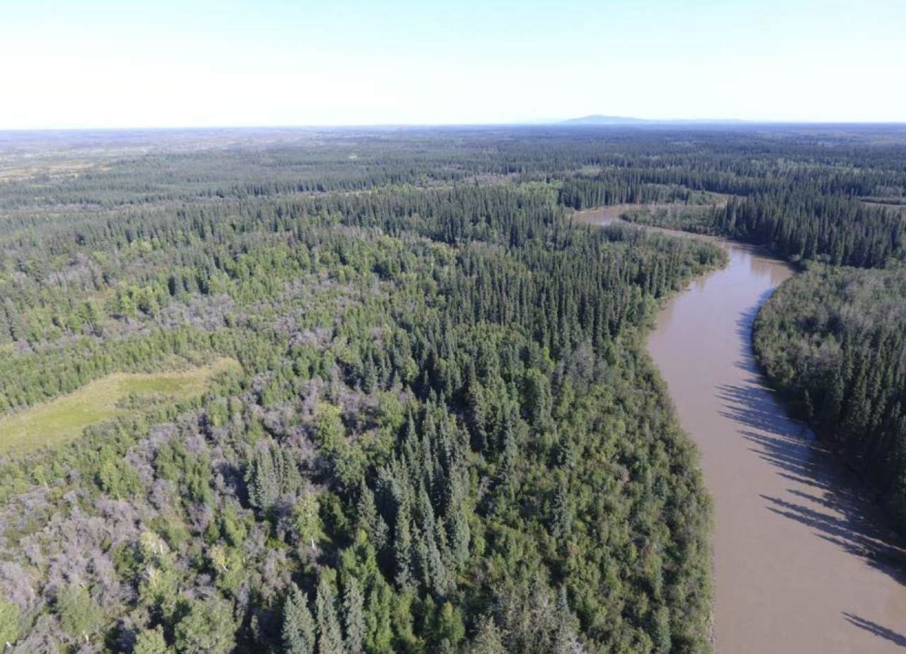 NHN Teklanika River - Photo 1